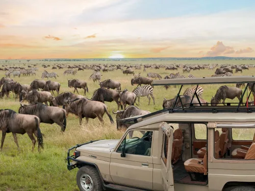 Wildlife Dream Tour Zambia & Botswana - Chobe Safari